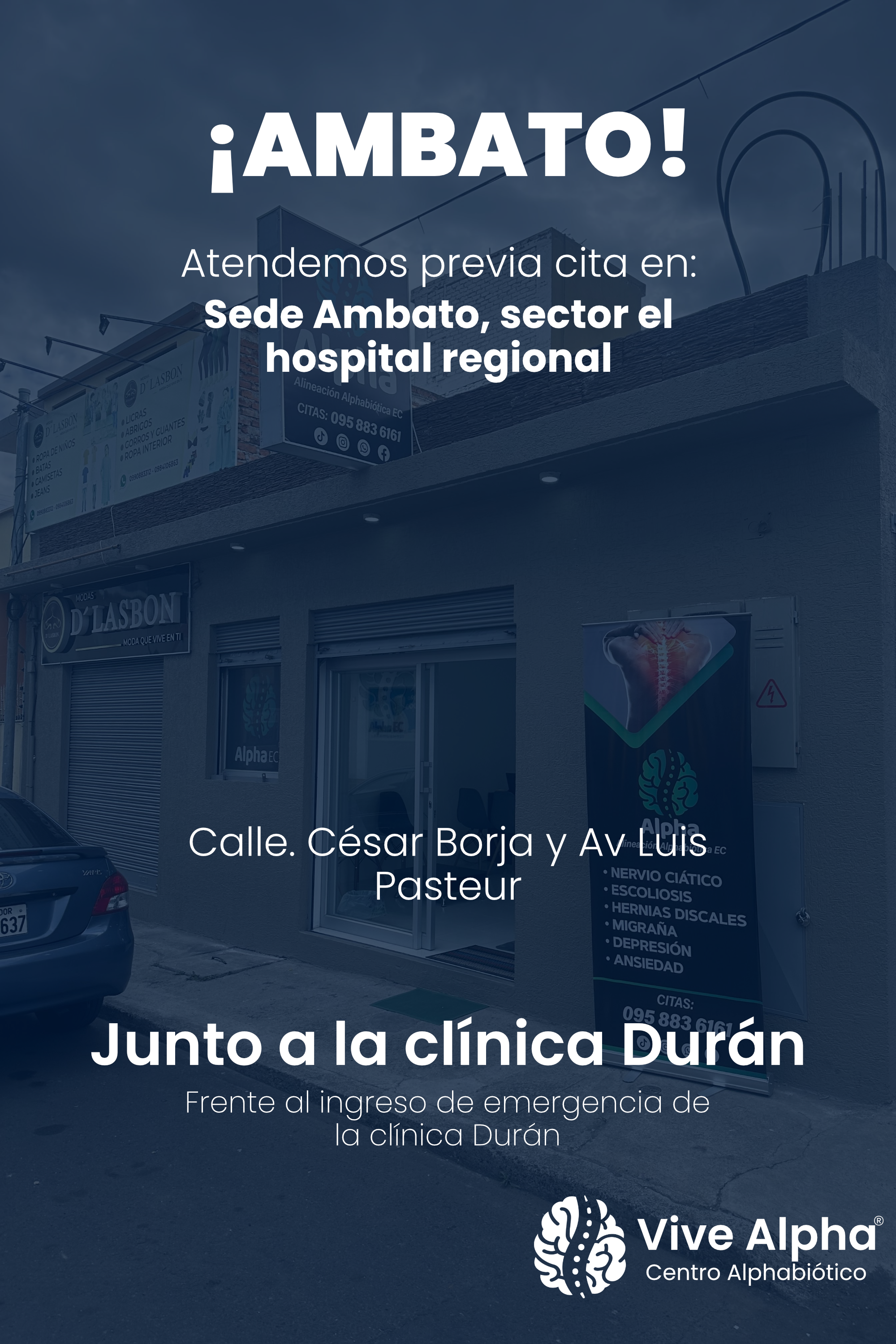 Dirección Vive Alpha Ambato